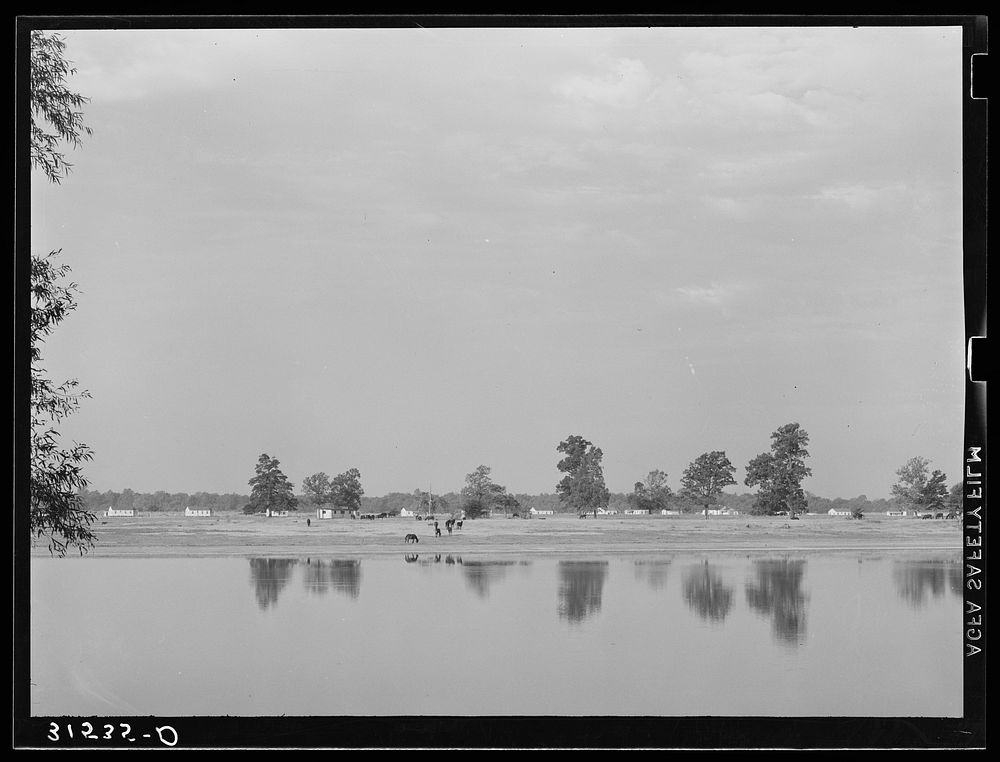 Looking across the lake. Lake Dick Project, Arkansas by Russell Lee