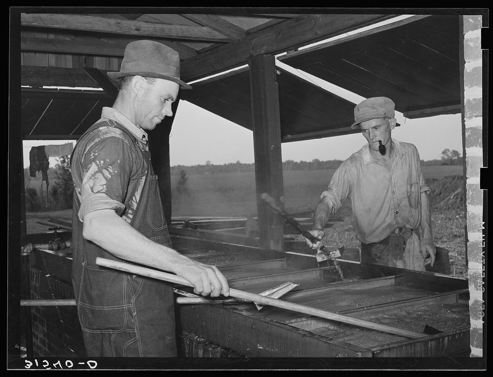 Farmers' cooperative association making sorghum. Lake Dick Project, Arkansas by Russell Lee