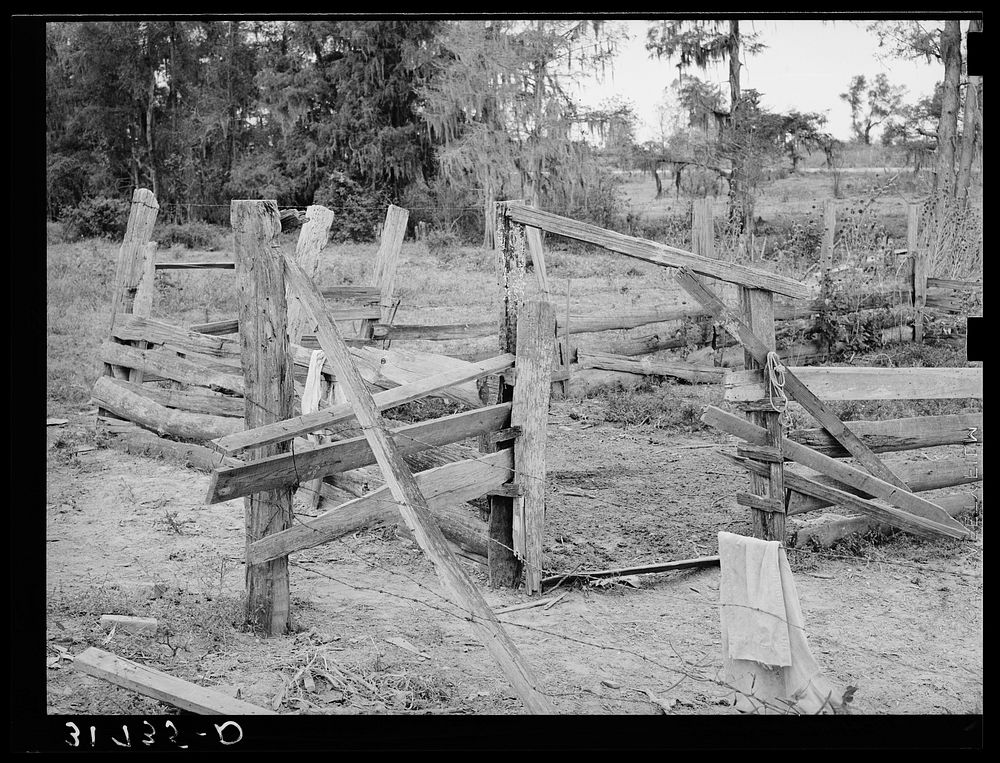 Fencing on farm of W.E. Smith, who will be given aid by FSA (Farm Security Administration). Near Morganza, Louisiana by…
