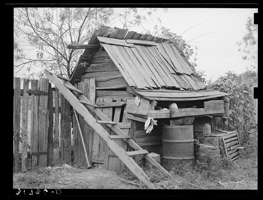 Shed on farm of W.E. Smith near Morganza, Louisiana by Russell Lee