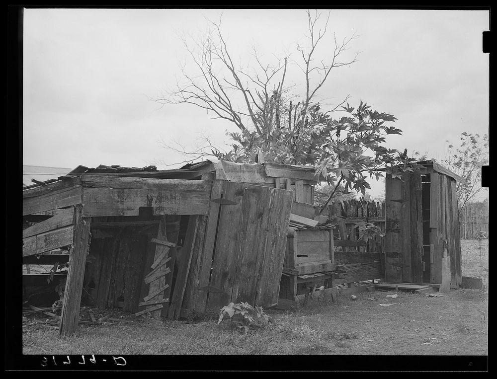 Shed and privy on farmstead of Emil Kimball, farmer. Morganza, Louisiana by Russell Lee