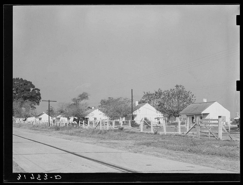 Houses for es on cane plantation near New Roads, Louisiana by Russell Lee