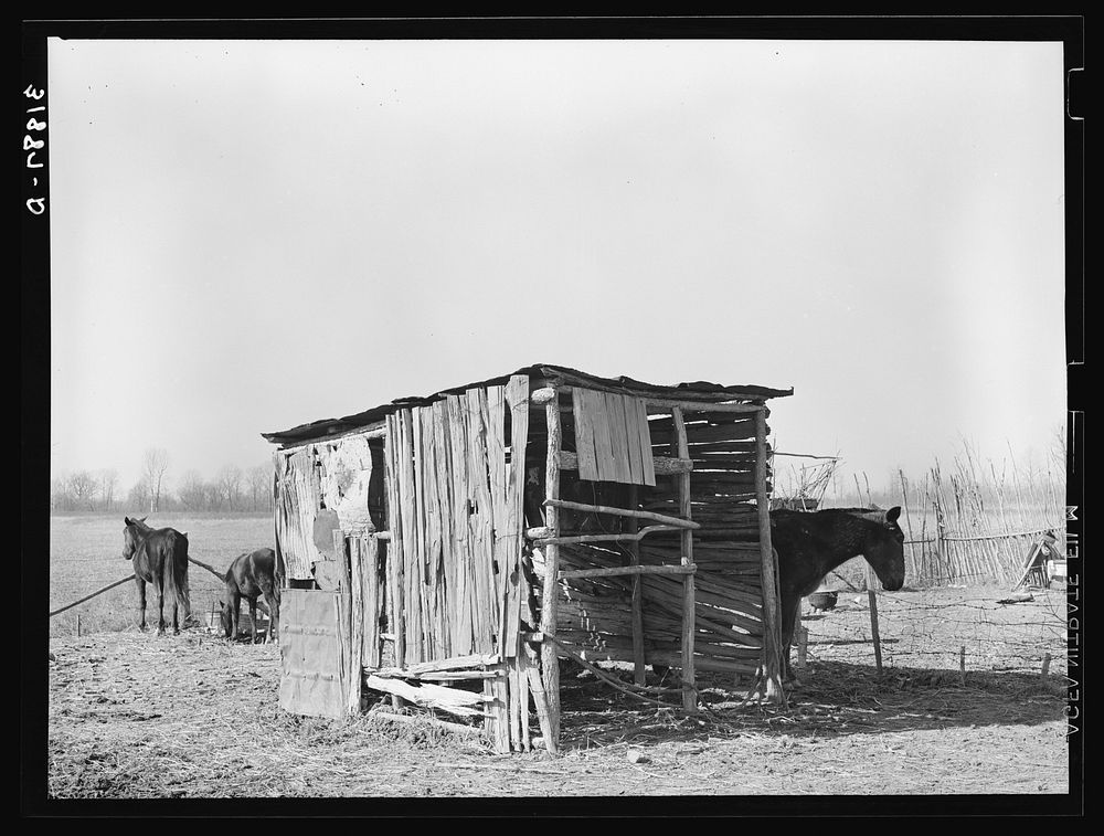 Shed for mules and horses on sharecropper's place near Transylvania Project. Louisiana by Russell Lee