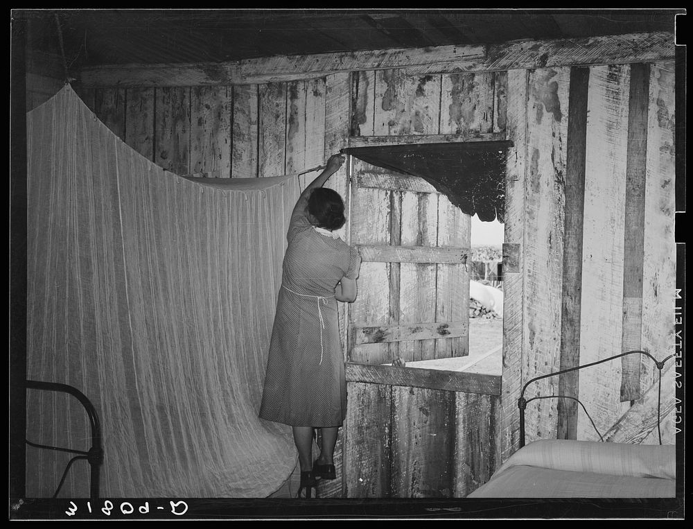 [Untitled photo, possibly related to: Mrs. Emil Kimball sweeping kitchen in her present home. The broom was made by Mr.…