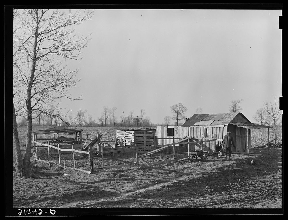 Farmstead of  sharecropper with sharecropper carrying water. Near Transylvania, Louisiana by Russell Lee