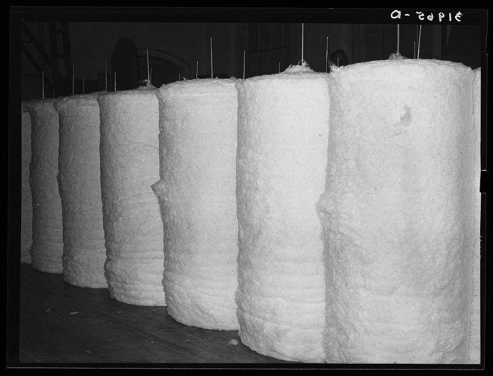 Row of cotton bats. Laurel cotton mills, Laurel, Mississippi by Russell Lee