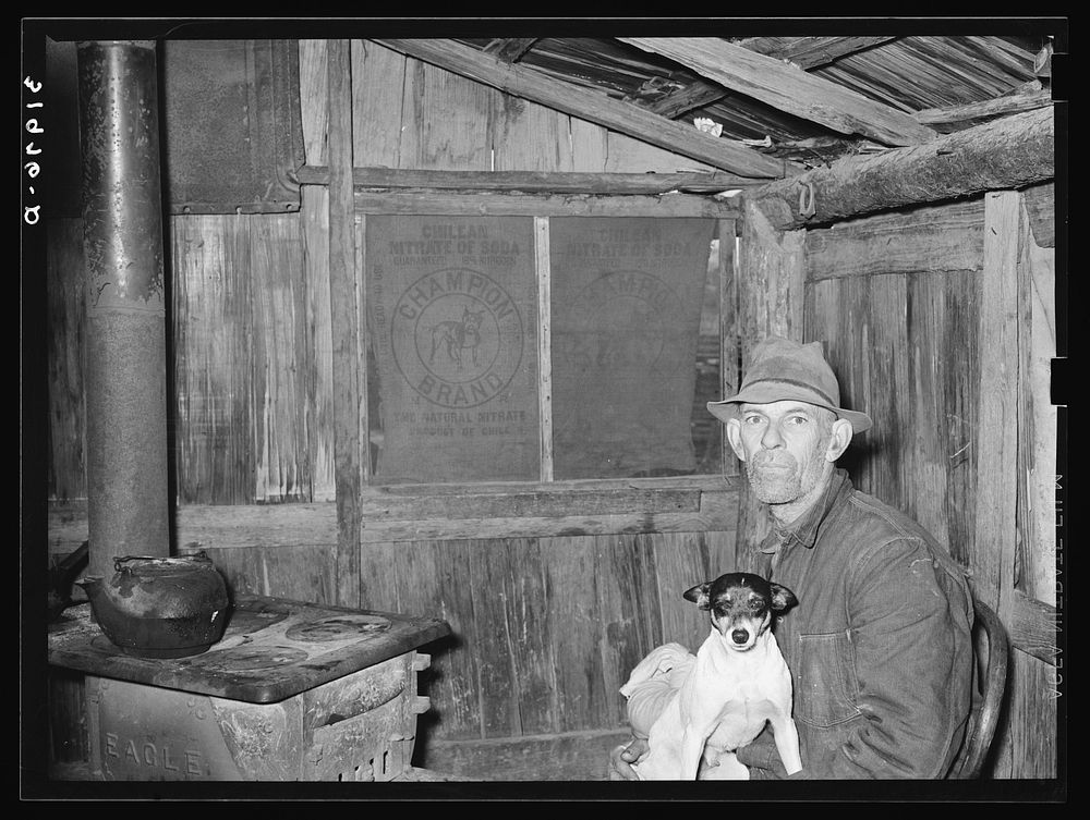 Mot Tucker in kitchen of his corncrib home. Note nitrate of soda sacks used for shades in windows. Antioch, Mississippi by…