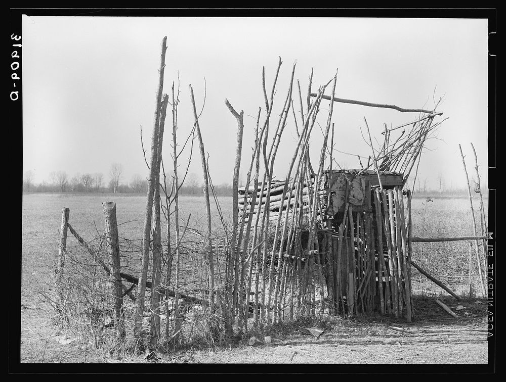Chicken shed on former sharecropper's farm. Transylvania, Louisiana by Russell Lee
