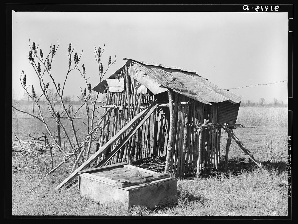 Chicken shed on former sharecropper's farm near Transylvania, Louisiana by Russell Lee