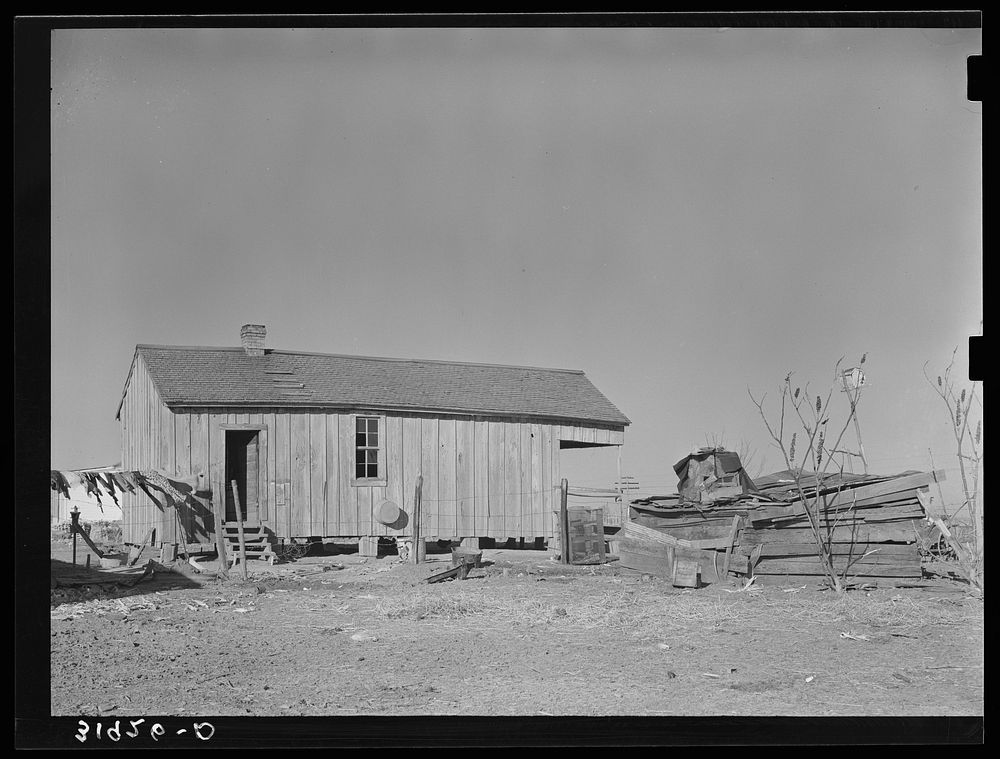 Home and shed on former sharecropper's farm. Transylvania Project, Louisiana by Russell Lee
