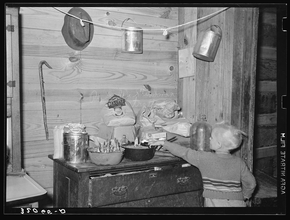 Corner of kitchen with flower bulbs in tin pans. Tenant farm family living near Pace, Mississippi by Russell Lee