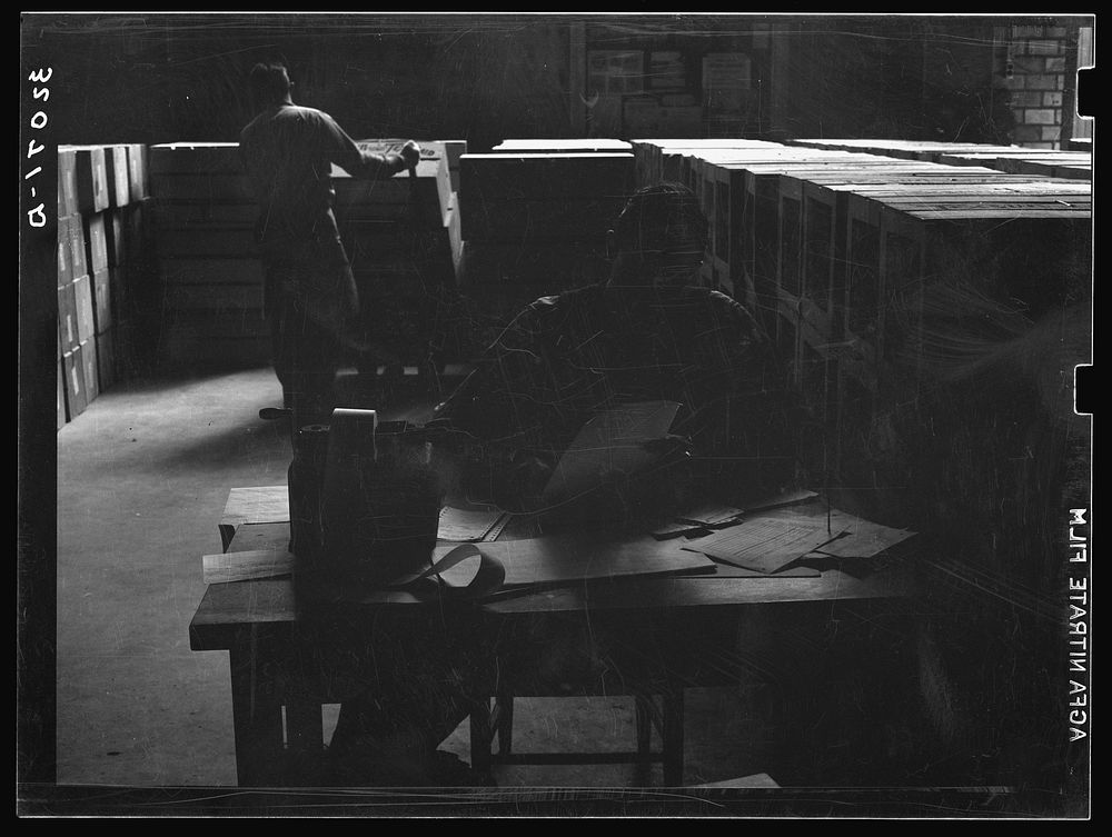 [Untitled photo, possibly related to: Checking clerk, citrus packing plant. Weslaco, Texas] by Russell Lee