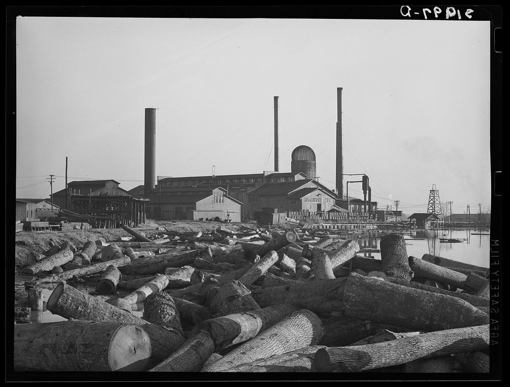 Lumber mill with logs in pond. Laurel, Mississippi by Russell Lee