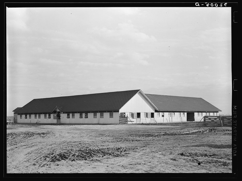 Barn. Sunflower Plantation near Merigold, Mississippi. This farm is leased by FSA (Farm Security Administration) and…