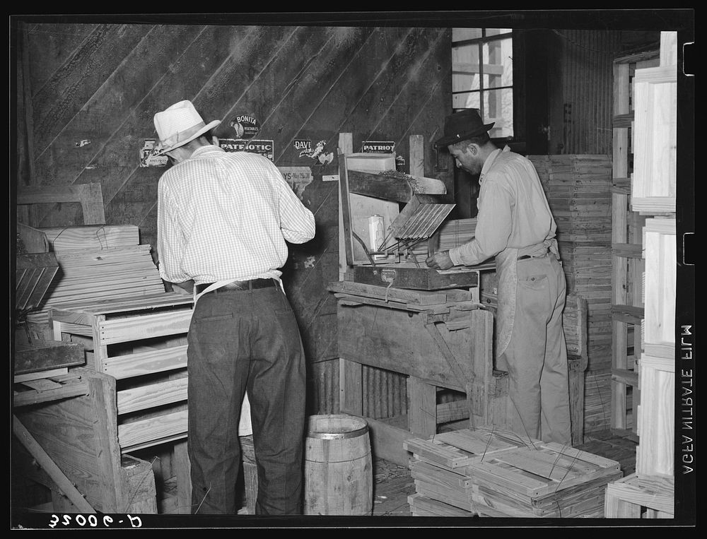 Mexican box makers at vegetable packing plant. Alamo, Texas by Russell Lee