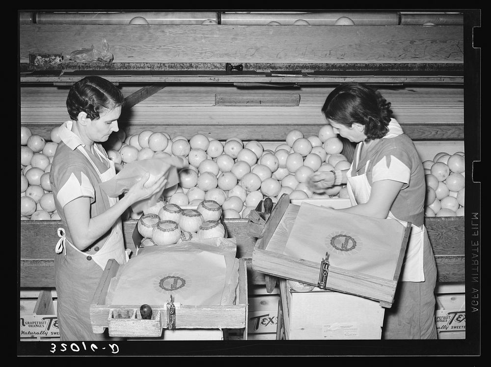 Wrapping grapefruit in packing process. Weslaco, Texas by Russell Lee