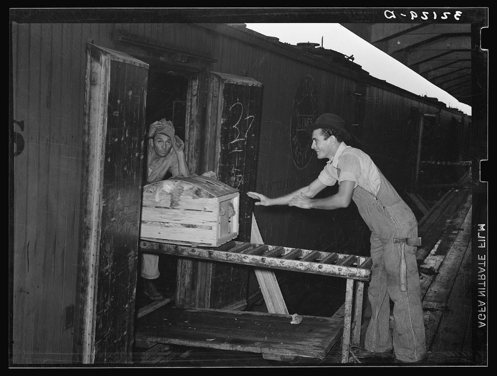 [Untitled photo, possibly related to: Pushing in the last few crates of vegetables into boxcar. Elsa, Texas] by Russell Lee