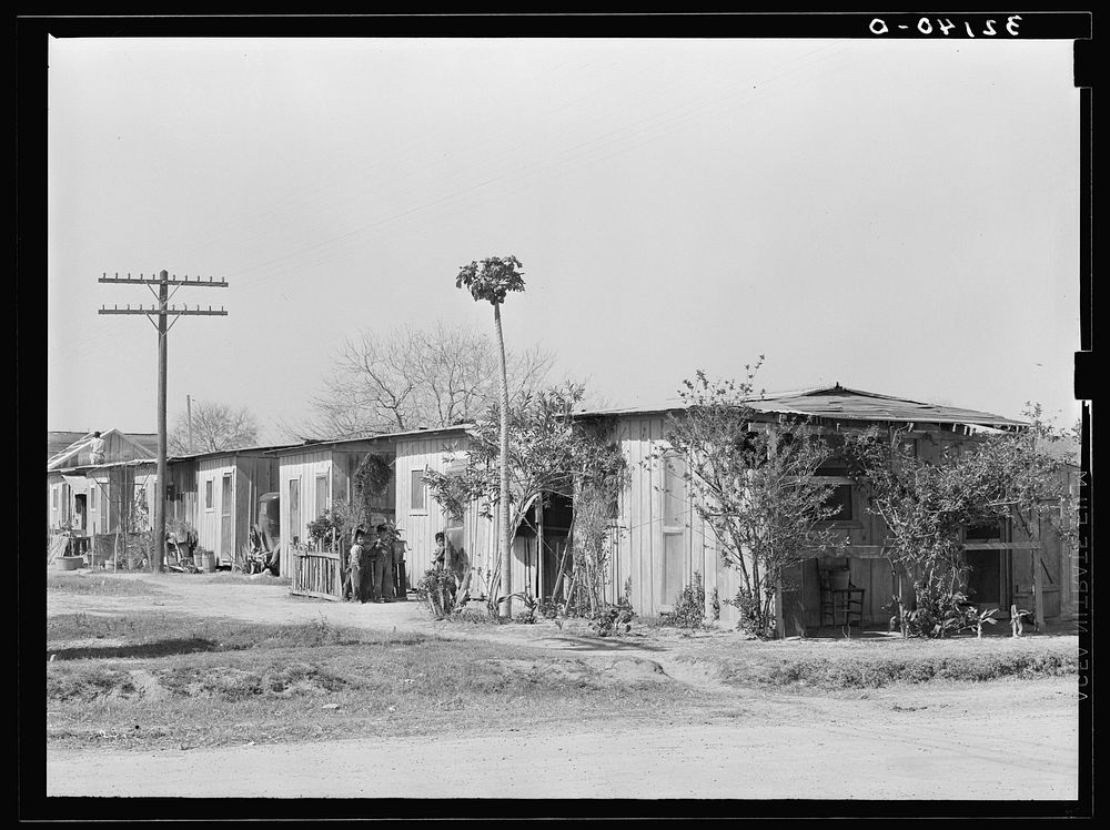 Type of Mexican housing, Alamo, Texas. Most of the workers in the citrus and vegetable fields live in town in houses like…