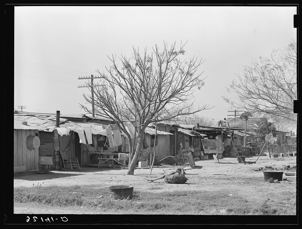Backyards of Mexican homes. Alamo, Texas by Russell Lee