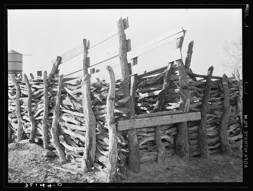 Detail of corral of Mexican farm owner. Hidalgo County, Texas by Russell Lee
