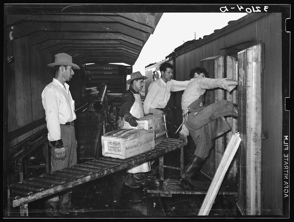 Pushing in the last few crates of vegetables into boxcar. Elsa, Texas by Russell Lee