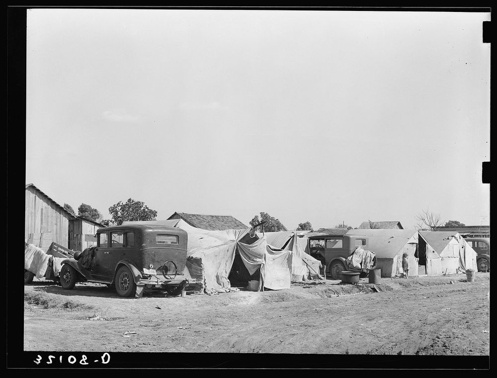 Migrant camp, Weslaco, Texas. Local employment men say that there was no need for migrant labor to handle the citrus and…