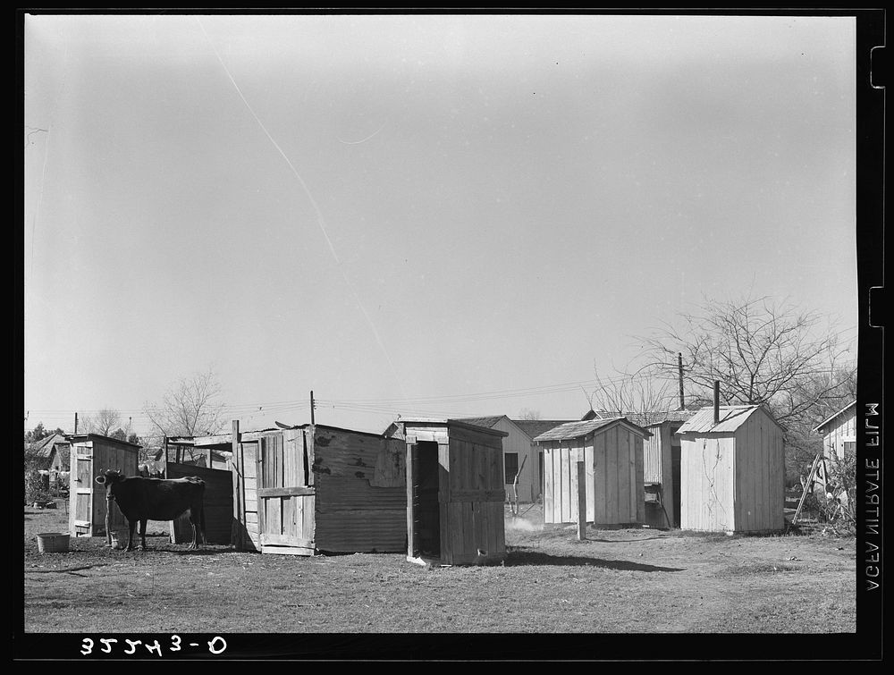 Privies and out buildings in Mexican section. Robstown, Texas by Russell Lee