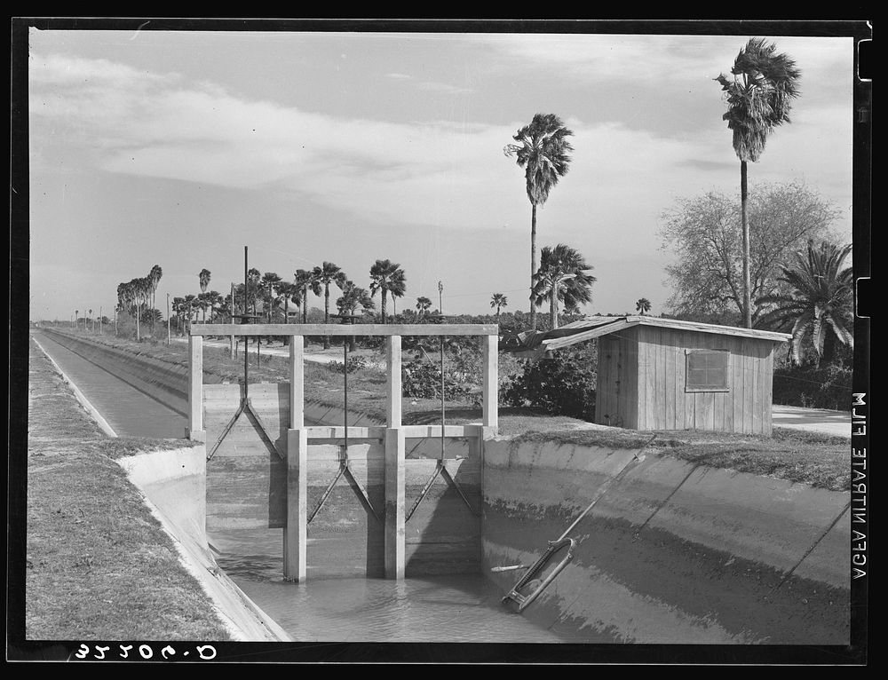 [Untitled photo, possibly related to: Irrigation canal and irrigated citrus grove. San Juan, Texas] by Russell Lee