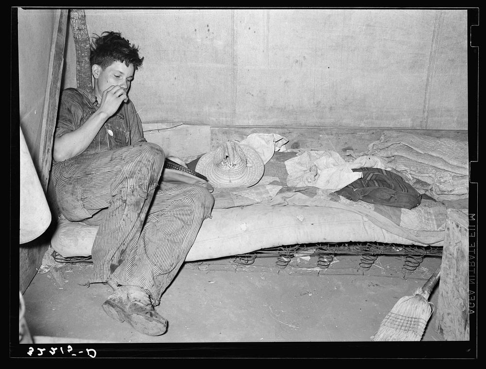 Son of white migrant worker near Harlingen, Texas. See 32108-D by Russell Lee