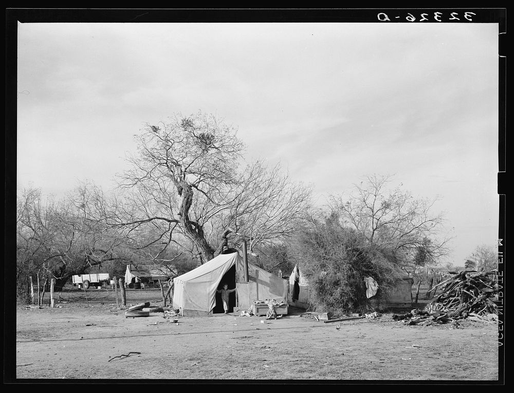 Camps of white migrant families in the mesquite near Harlingen, Texas by Russell Lee