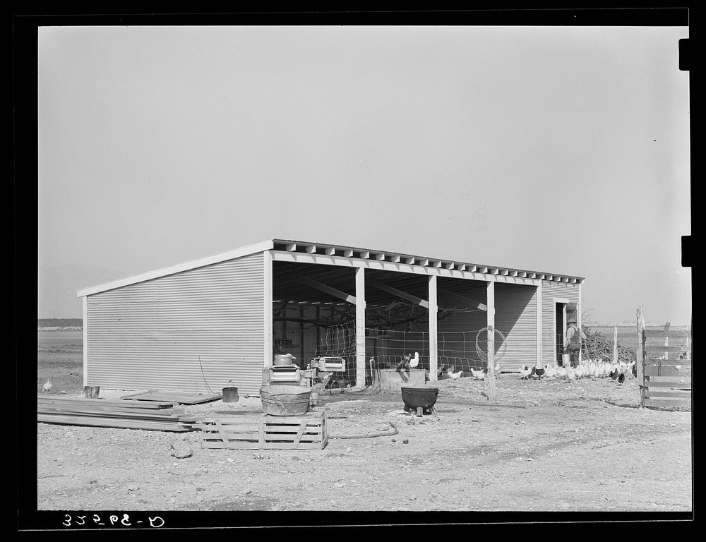 Machine shed and chicken house of El Indio, Texas, pioneer by Russell Lee