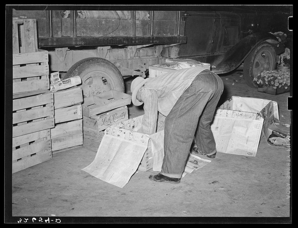 Peddler lining crates with newspapers before packing them with vegetables. San Antonio, Texas by Russell Lee