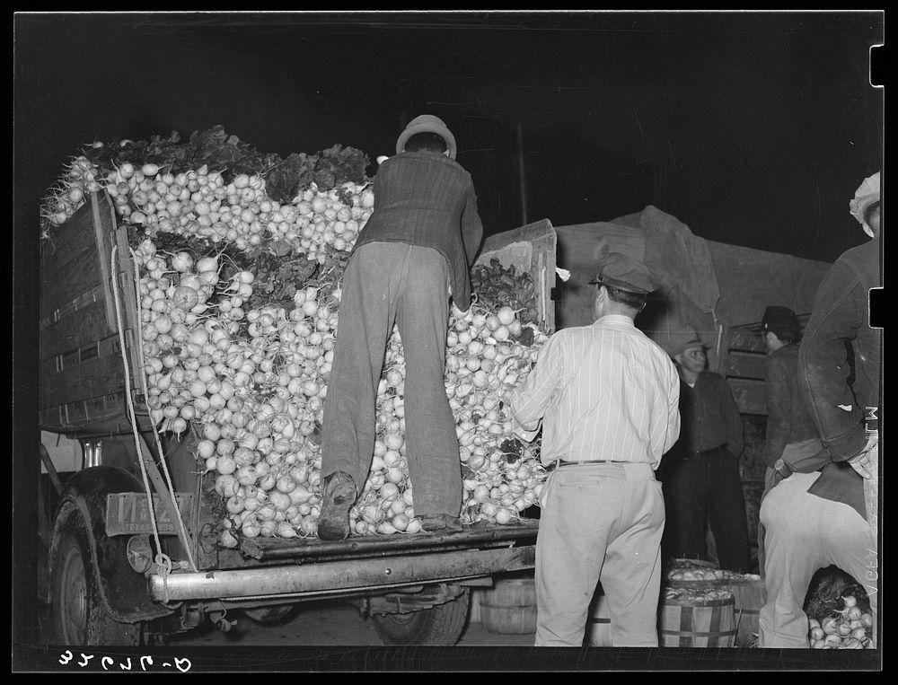 Unloading truck of turnips. Vegetable market, San Antonio, Texas by Russell Lee