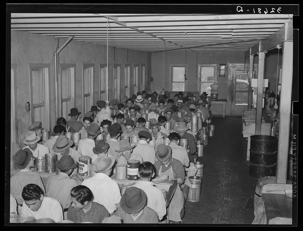 Mexican pecan shellers. Union plant. San Antonio, Texas by Russell Lee