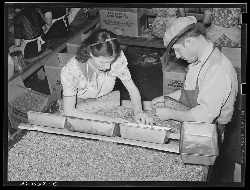 Owner of pecan shelling plant with girl who is separating the whole meats from the broken ones. Union plant. San Antonio…