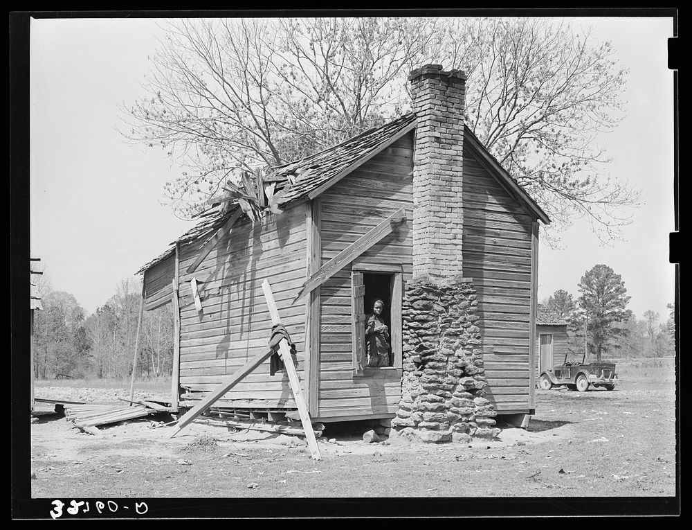 Cabin of es living near Jefferson, Texas. This family owned about thirty acres but were not farming it, doing day labor for…