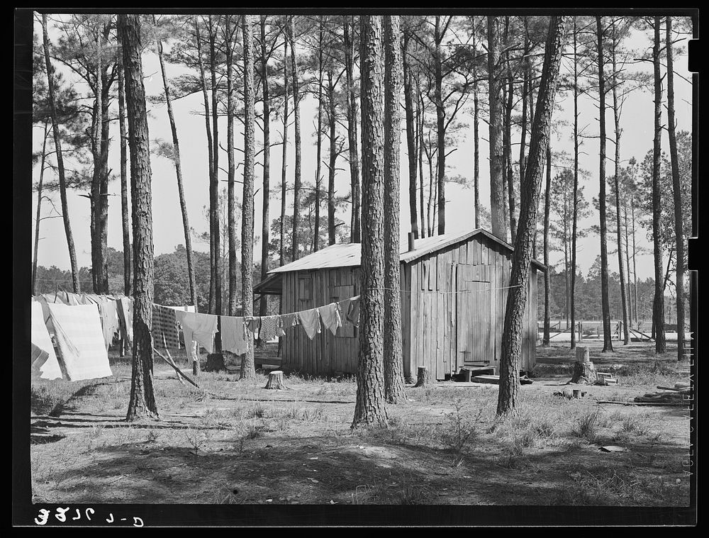 Group of houses in which white migrants were living. These migrants were working in the strawberry fields near Ponchatoula…