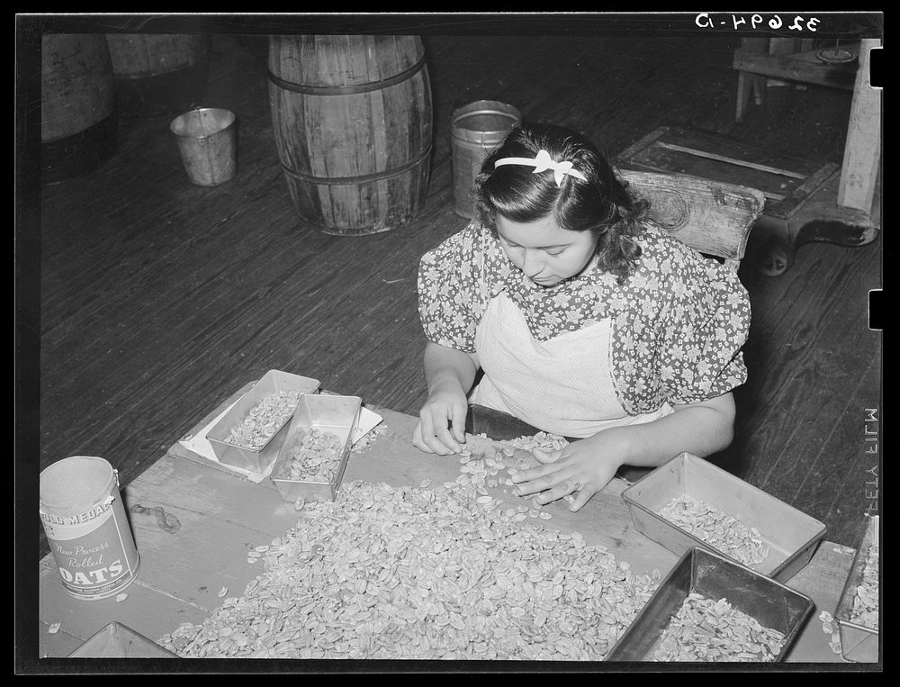 Classifying pecan meats. Pecan shelling plant. San Antonio, Texas by Russell Lee