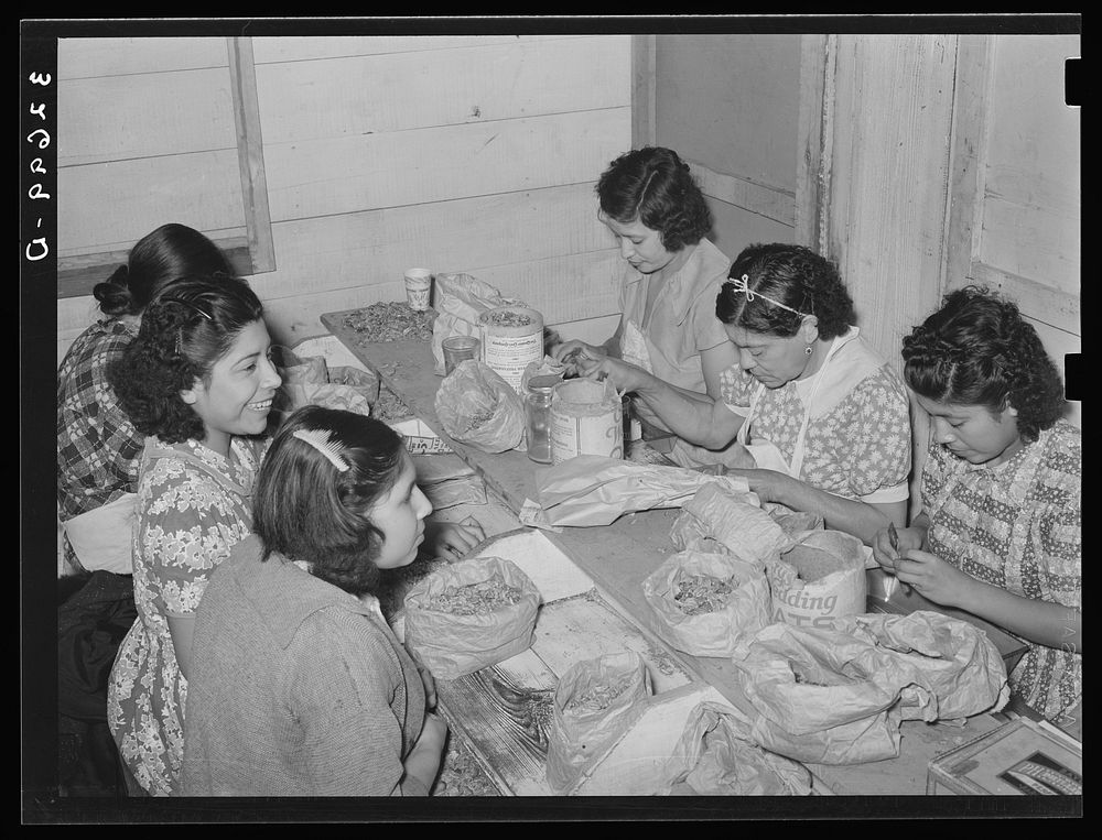 [Untitled photo, possibly related to: Mexican women separating meat from shells. Pecan shelling plant. San Antonio, Texas]…