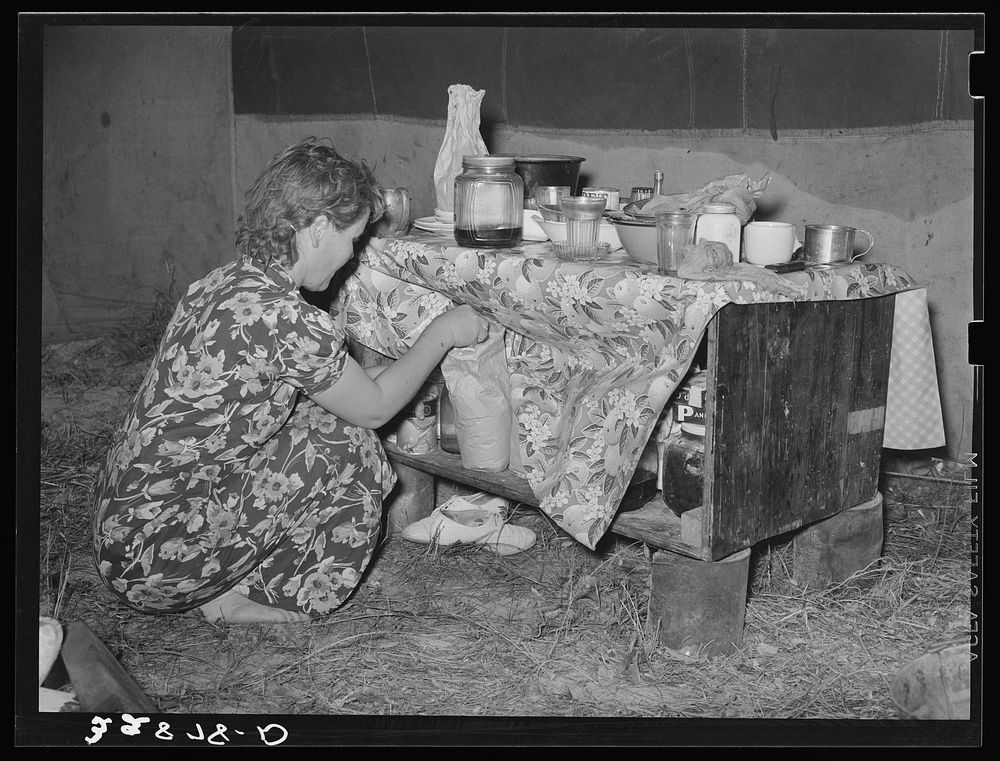 White migrant berry picker removing groceries from kitchen cabinet in tent near Hammond, Louisiana by Russell Lee