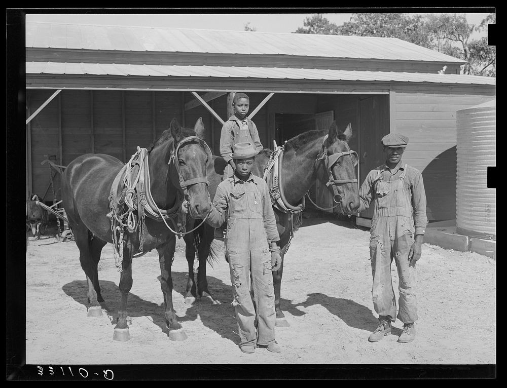 FSA (Farm Security Administration) clients with team in front of barn. Sabine Farms, Marshall, Texas by Russell Lee