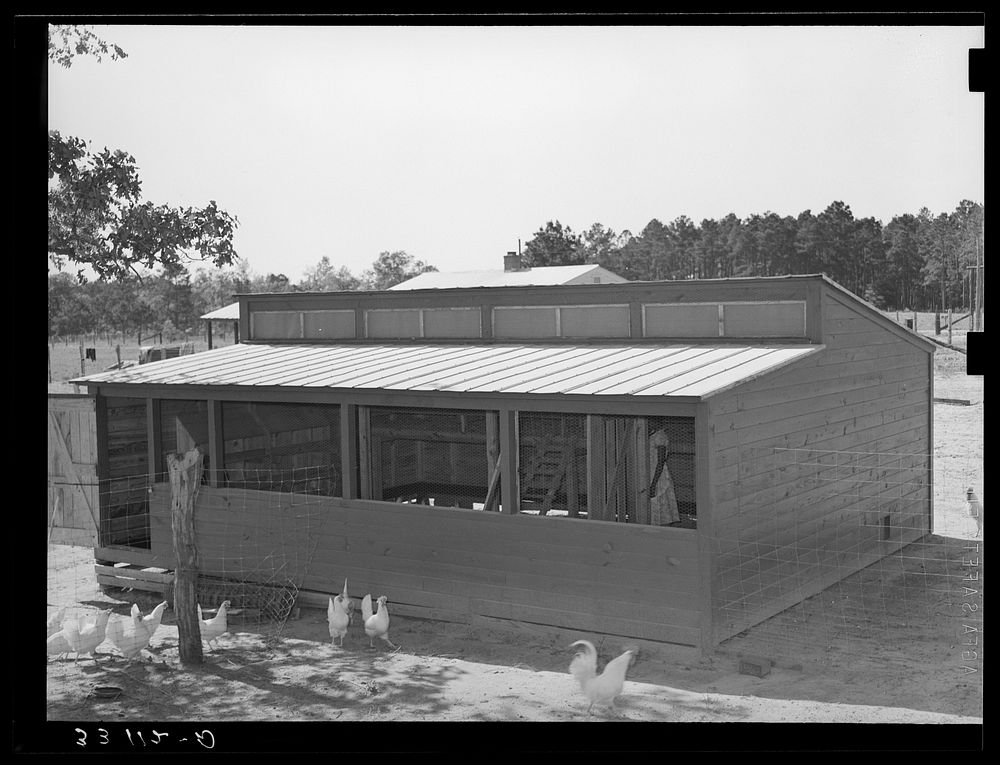 Chicken house of FSA (Farm Security Administration) client. Sabine Farms, Marshall, Texas by Russell Lee