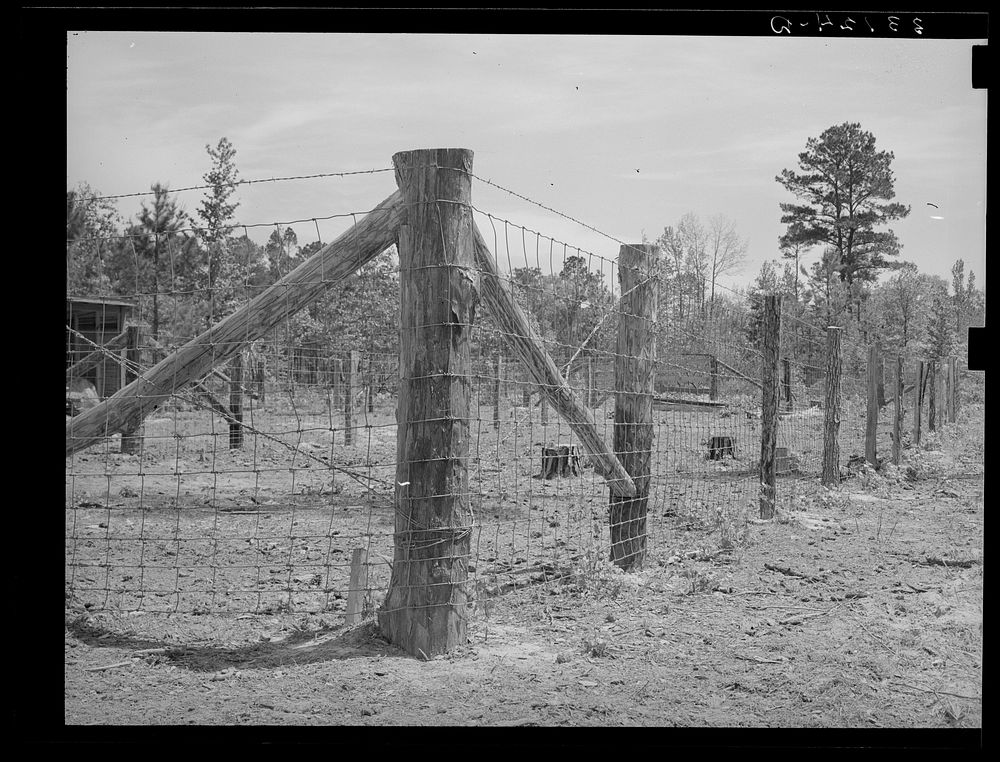 Strong fencing is provided for the barn lot on Sabine Farms. Marshall, Texas by Russell Lee