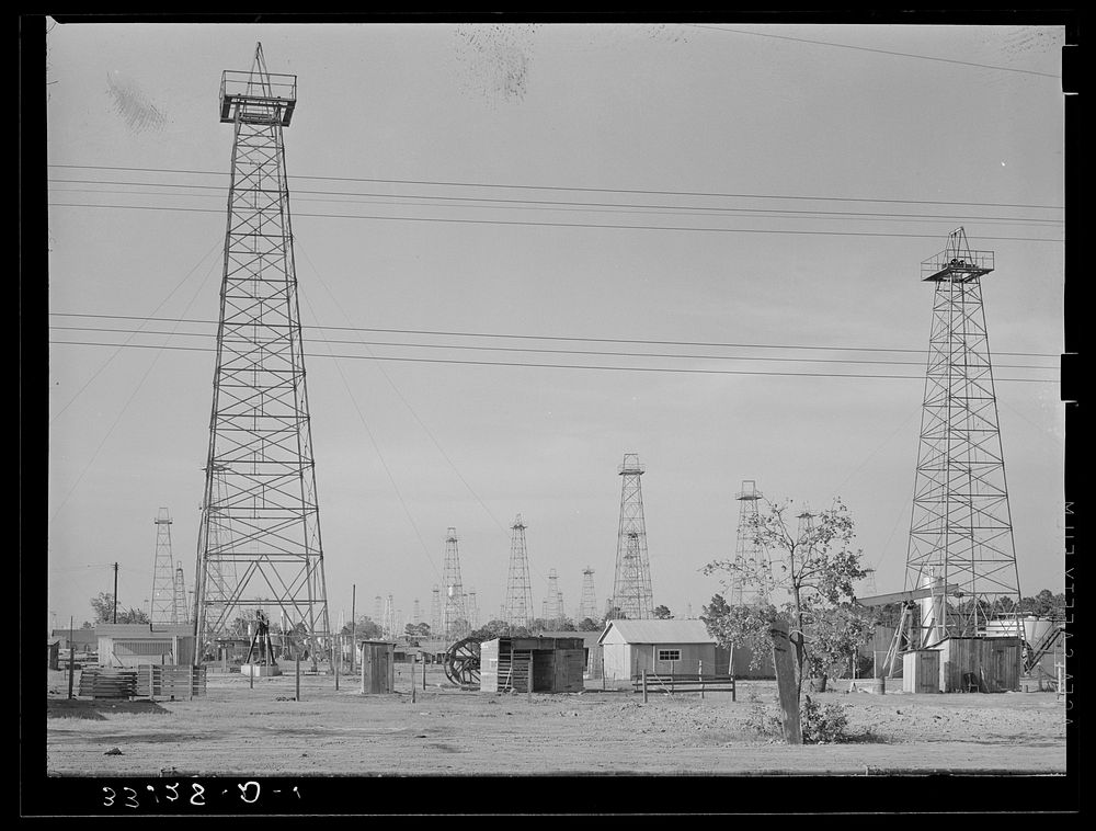 Forest of oil derricks. Kigore, Texas by Russell Lee