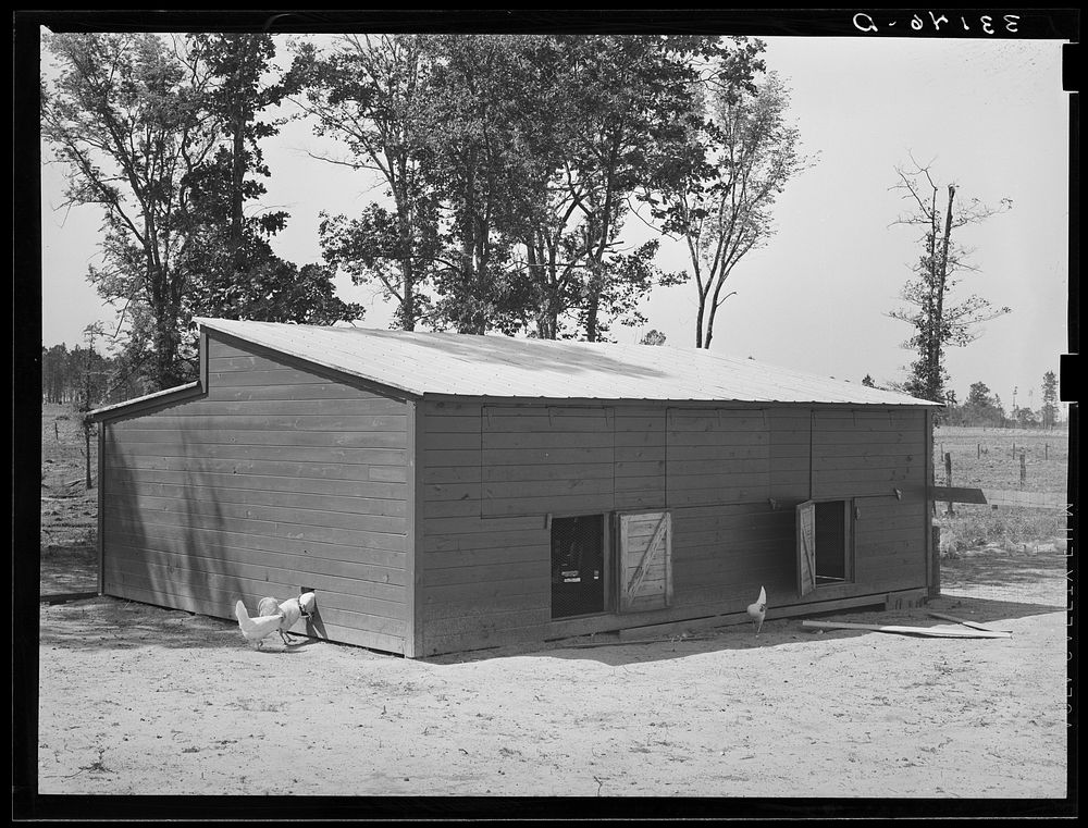 [Untitled photo, possibly related to: Exterior of chicken house. Sabine Farms, Marshall, Texas] by Russell Lee