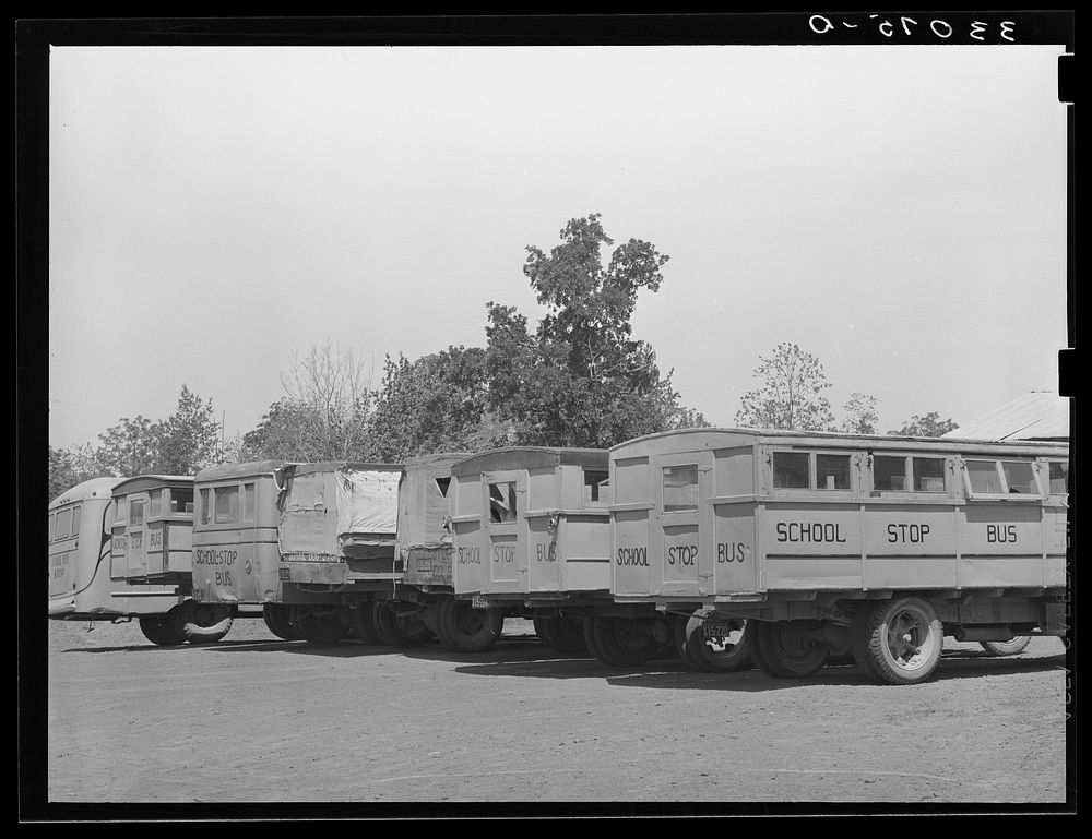 [Untitled photo, possibly related to: Lineup of school buses near Wells, Texas] by Russell Lee