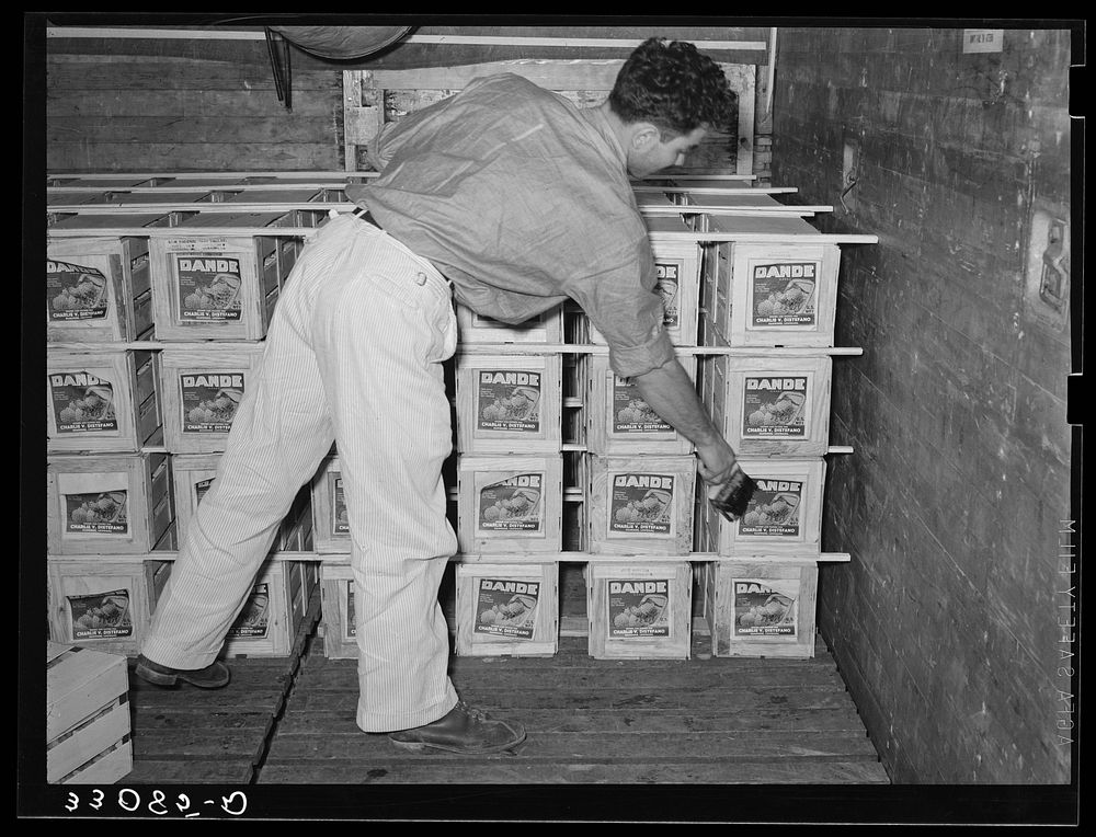 Labeling crates of strawberries loaded in refrigerator cars. Hammond, Louisiana by Russell Lee