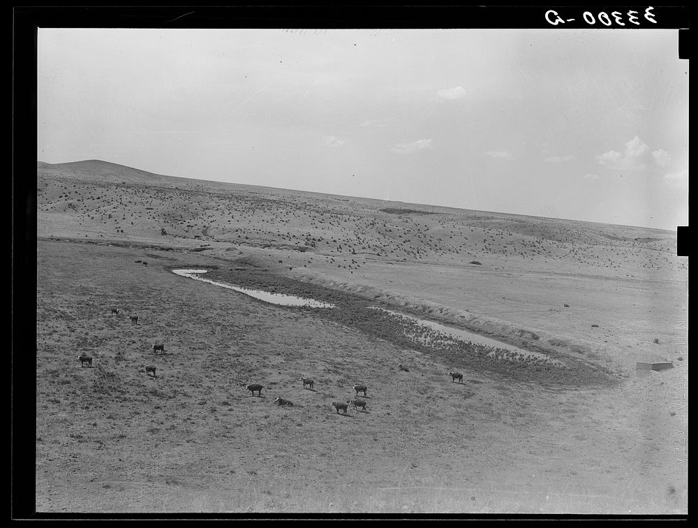 Stock water dam and waterhole on ranch near Marfa, Texas by Russell Lee