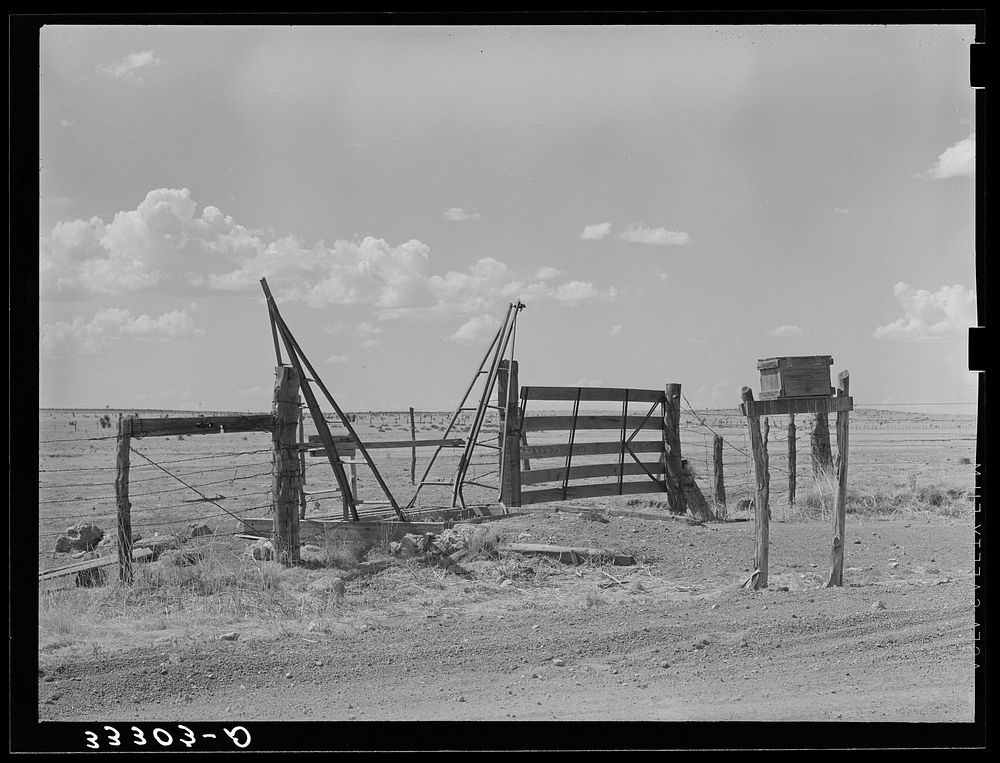 [Untitled photo, possibly related to: Cattle guard gate and mail box on ranch near Marfa, Texas] by Russell Lee