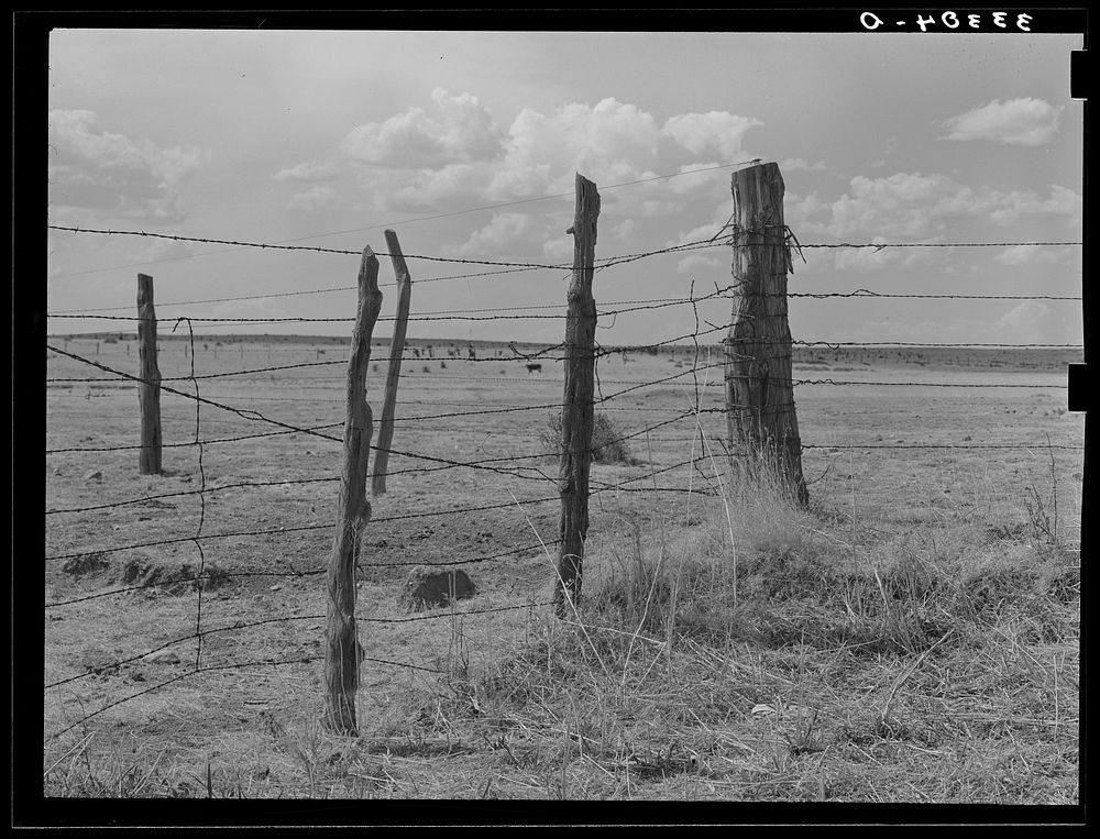 Fence construction on ranch near Marfa, Texas by Russell Lee